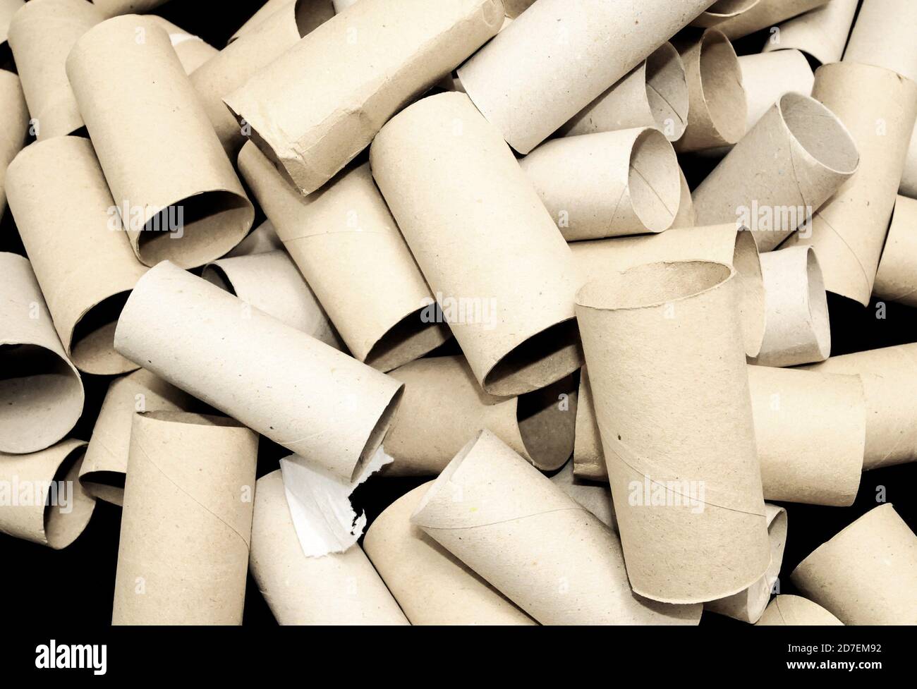 Empty Toilet Paper Roll Stock Photo Alamy