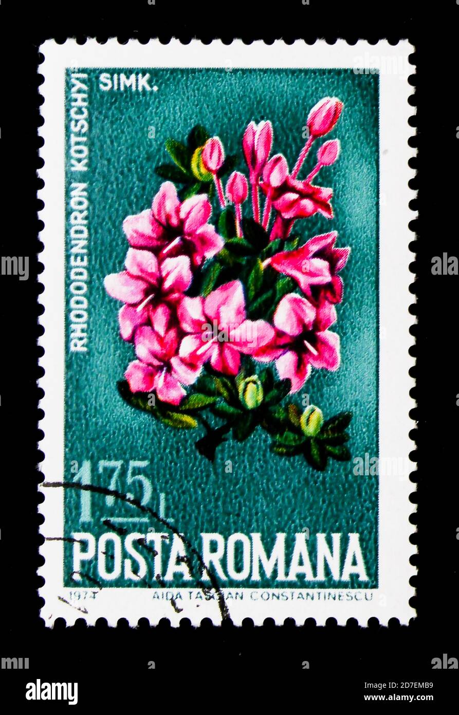 MOSCOW, RUSSIA - MARCH 29, 2018: A stamp printed in Romania shows Azalea (Rhododendron kotschyi), Nature Conservation - Wild Flowers serie, circa 1974 Stock Photo
