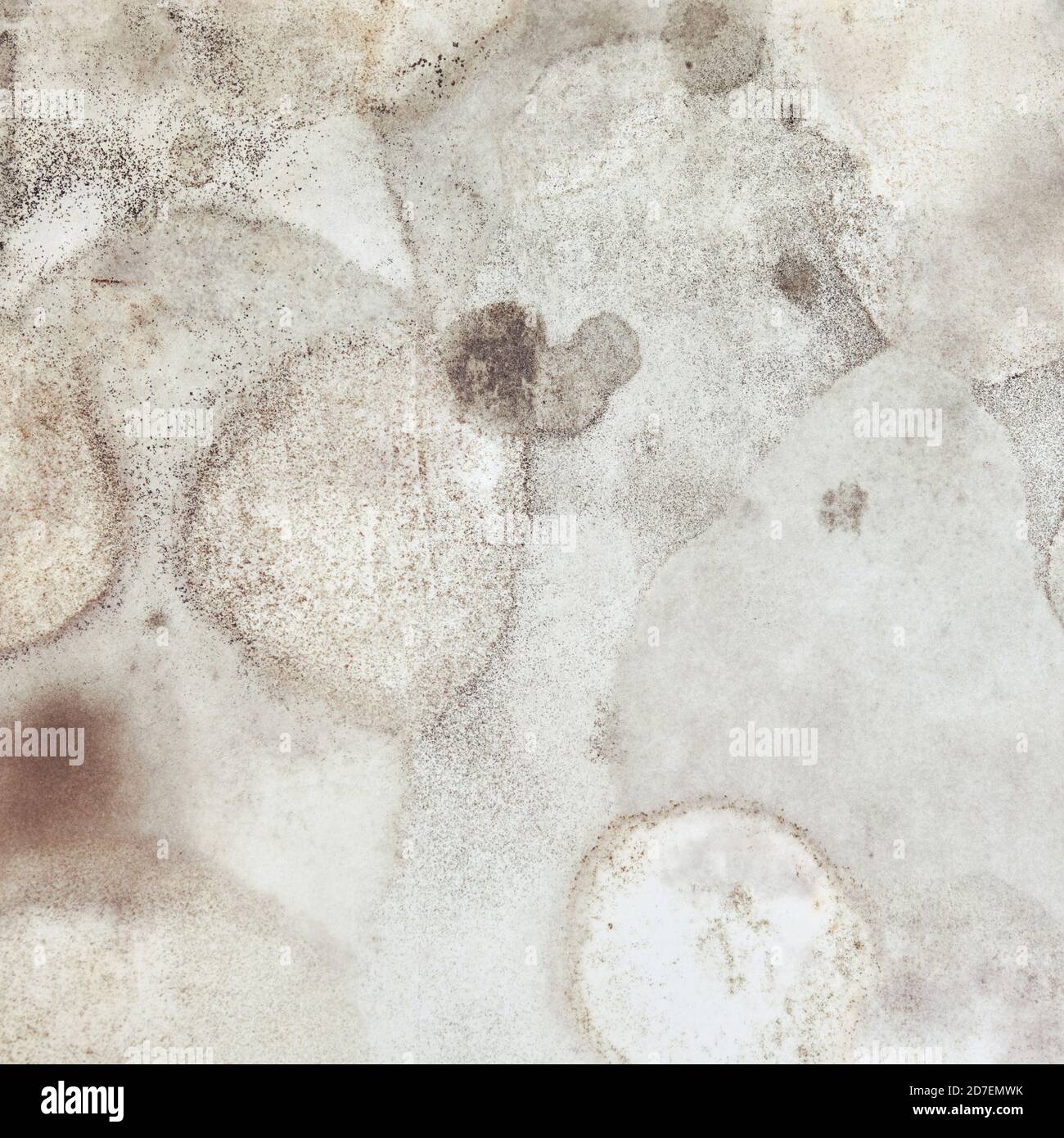Mold on the wallpaper in the corner of the new room Stock Photo - Alamy