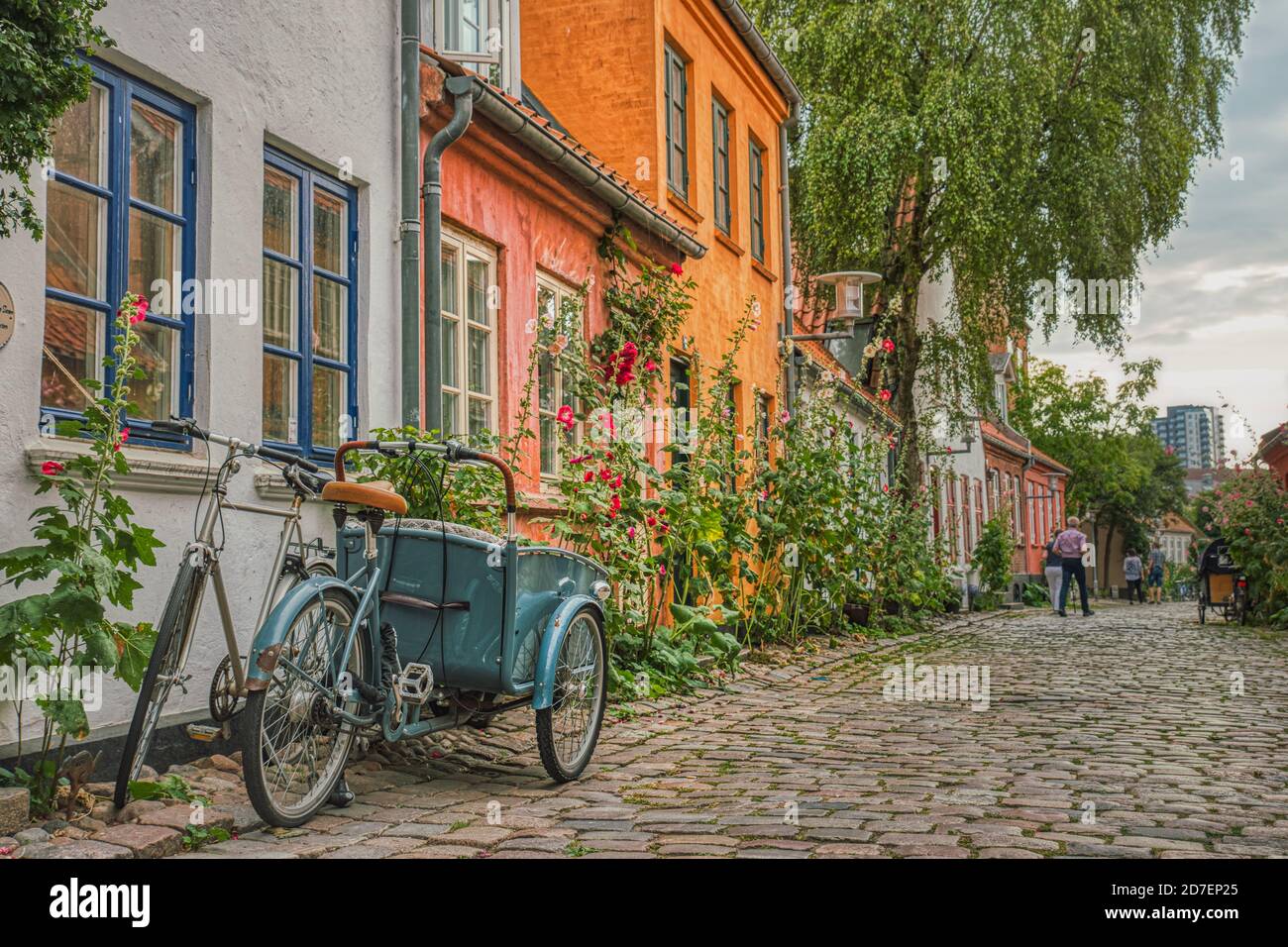 On a summer day a typical Danish Cargo bike is parked at the entrance of a house in a cosy street conveying coziness and cultural concept. Aarhus Stock Photo