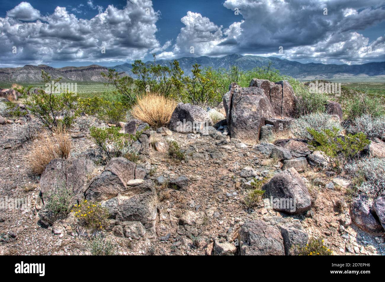 Three Rivers Petroglyph Site near Tularosa, New Mexico, with the Sierra Blanca Mountains in the distance. Stock Photo