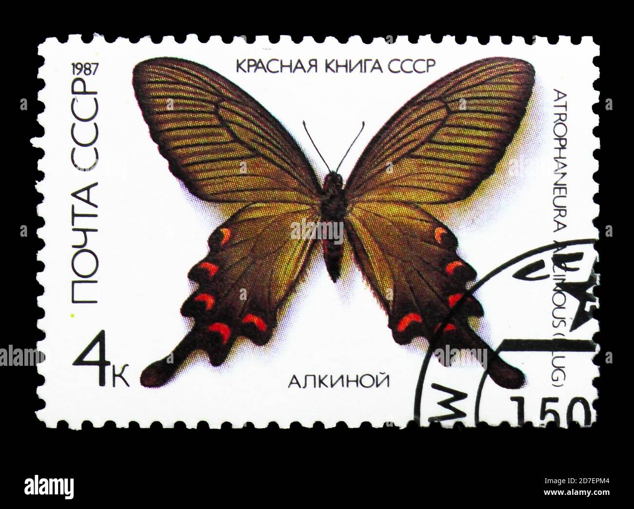 洋書 Butterflies from China, Japan, and Corea Butterflies from China, Japan, and Corea Volume 2: Leech