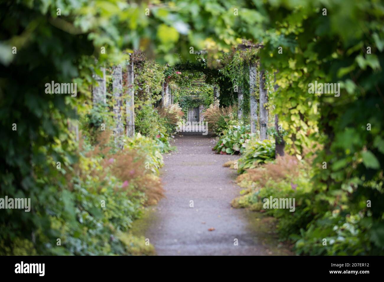 The Walled gardens at Florence Court Estate in County Fermanagh, Northern Ireland, U.K. Stock Photo