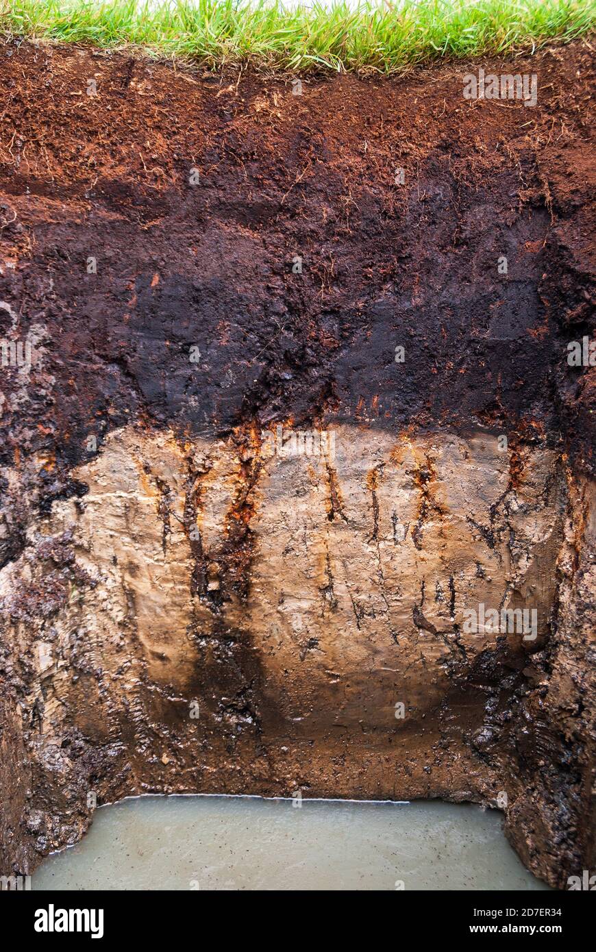 Soil Profile
