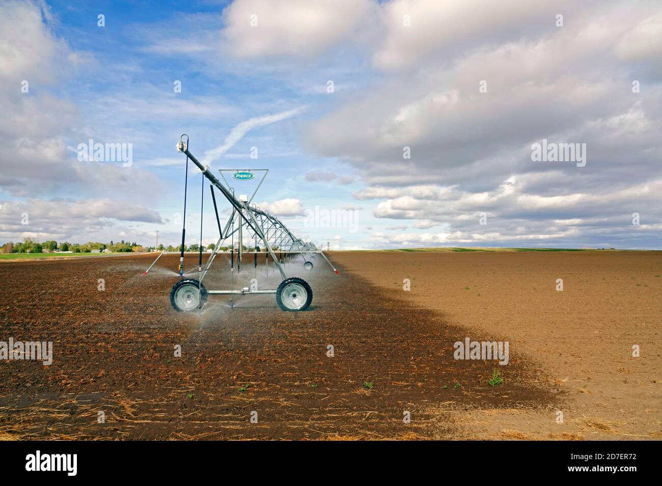 A large, moveable irrigation system creeps through a field of winter wheat watering as it goes, near Culver, Oregon. Stock Photo