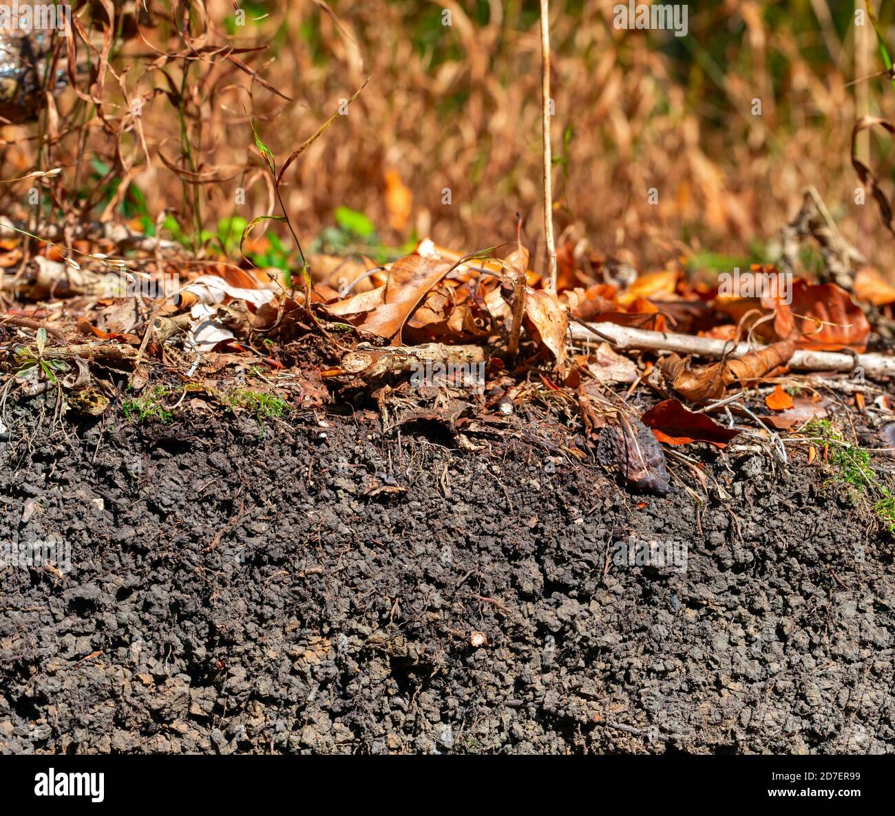 Clay limestone soil hires stock photography and images Alamy