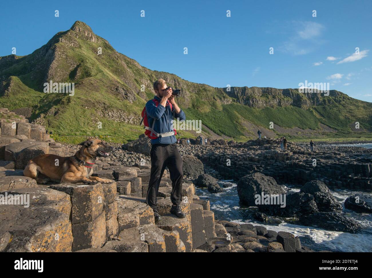 A young man and his dog explore the Giant's Causeway in Northern Ireland, U.K. Stock Photo