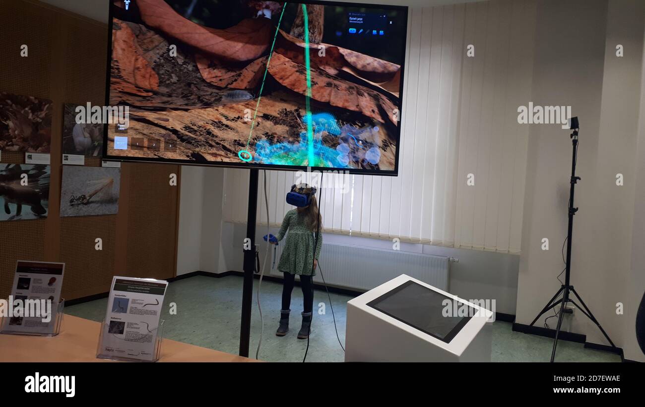 Virtual-Reality-Anwendung „Abenteuer Bodenleben“ im Rahmen museum4punkt0 im Senckenberg Naturkunde  Museum Görlitz am 22.10.2020 Stock Photo