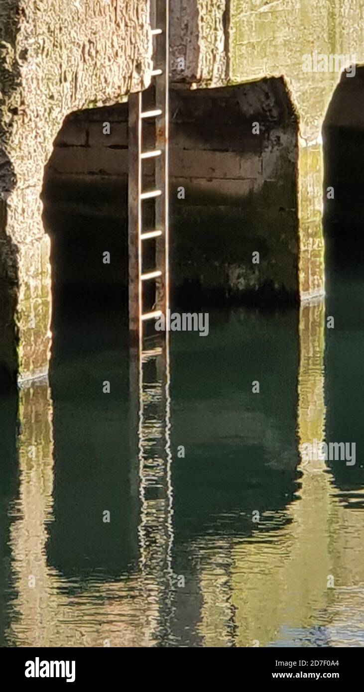 Algae on the harbour wall hi-res stock photography and images - Alamy