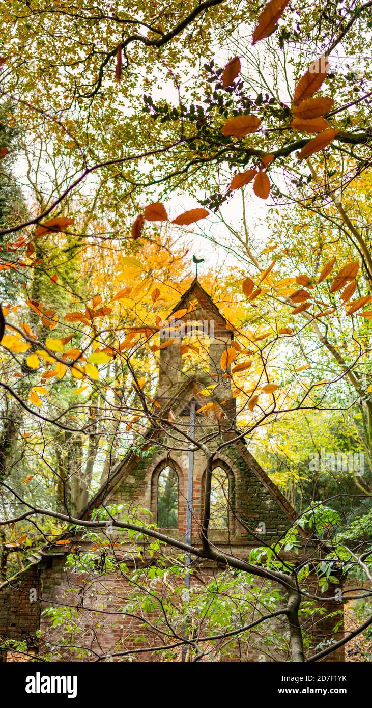 The derelict victorian school in Bedham woods near Petworth in West ...