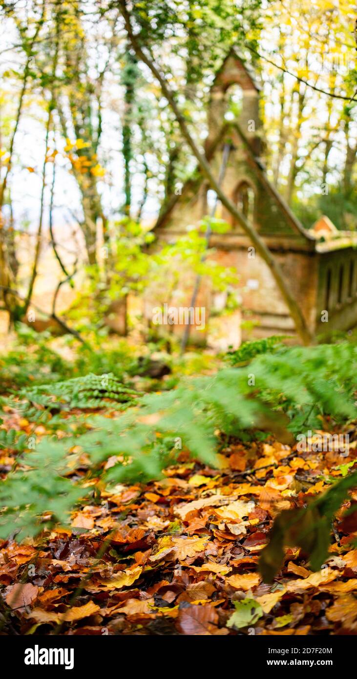 The derelict victorian school in Bedham woods near Petworth in West ...