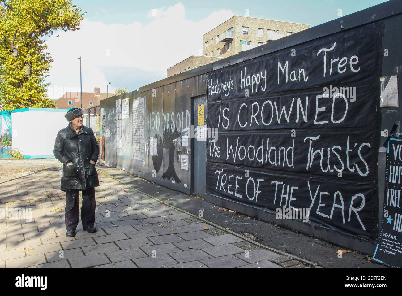 London, United Kingdom, 22th of Oct. 2020. Veteran peace campaigner Maria Gallastegui, updates the graffitti regarding The Happy Man Tree, in London’s Hackney. This 150-year-old tree, part of London Heritage, has been awarded this year's Woodland Trust Tree of the Year on 22nd of October. But it could be felled within a few weeks, due to the controversial Berkeley Homes development plans for Hackney's council housing plans.  The Council argues that ‘ Stock Photo