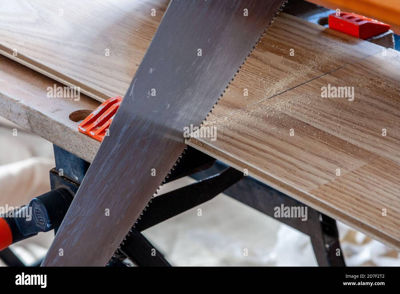 Sawing laminate for new flooring. Stock Photo