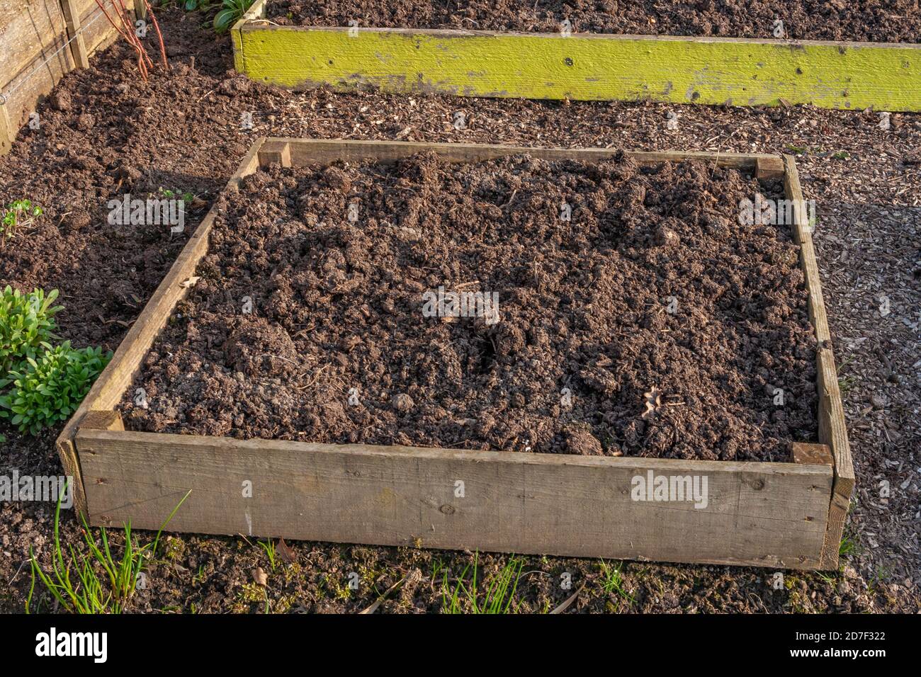 Timber raised beds in the garden. Stock Photo