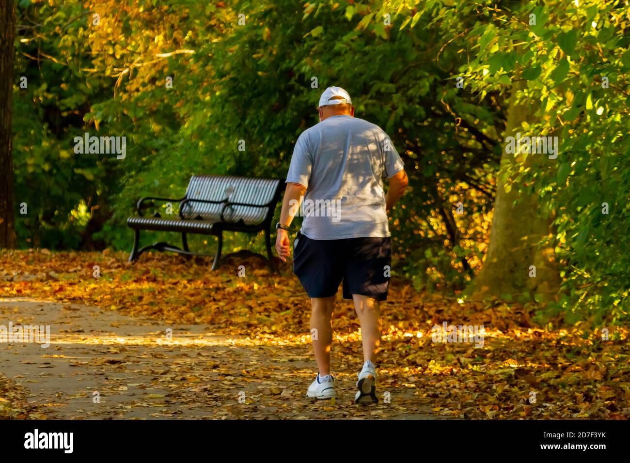 An autumn landscape in a park where colorful fallen leaves  cover a hiking path. An old man wearing sneakers and sports wear is slowly walking over th Stock Photo
