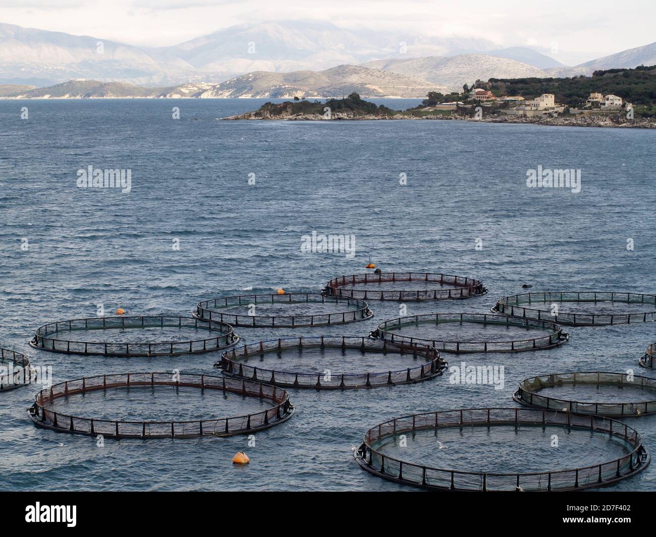 Fish Farm near Kassiopi, Corfu, Greece Stock Photo Alamy