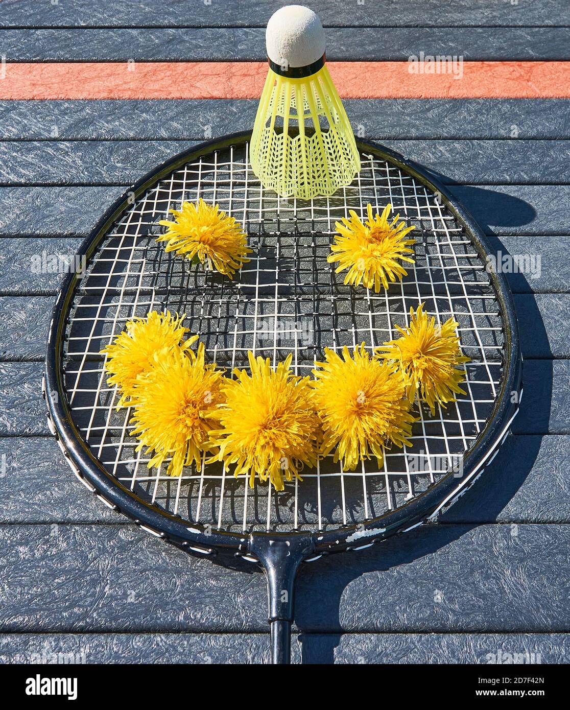 badminton racket, yellow shuttlecock and yellow dandelion smile, summer ...