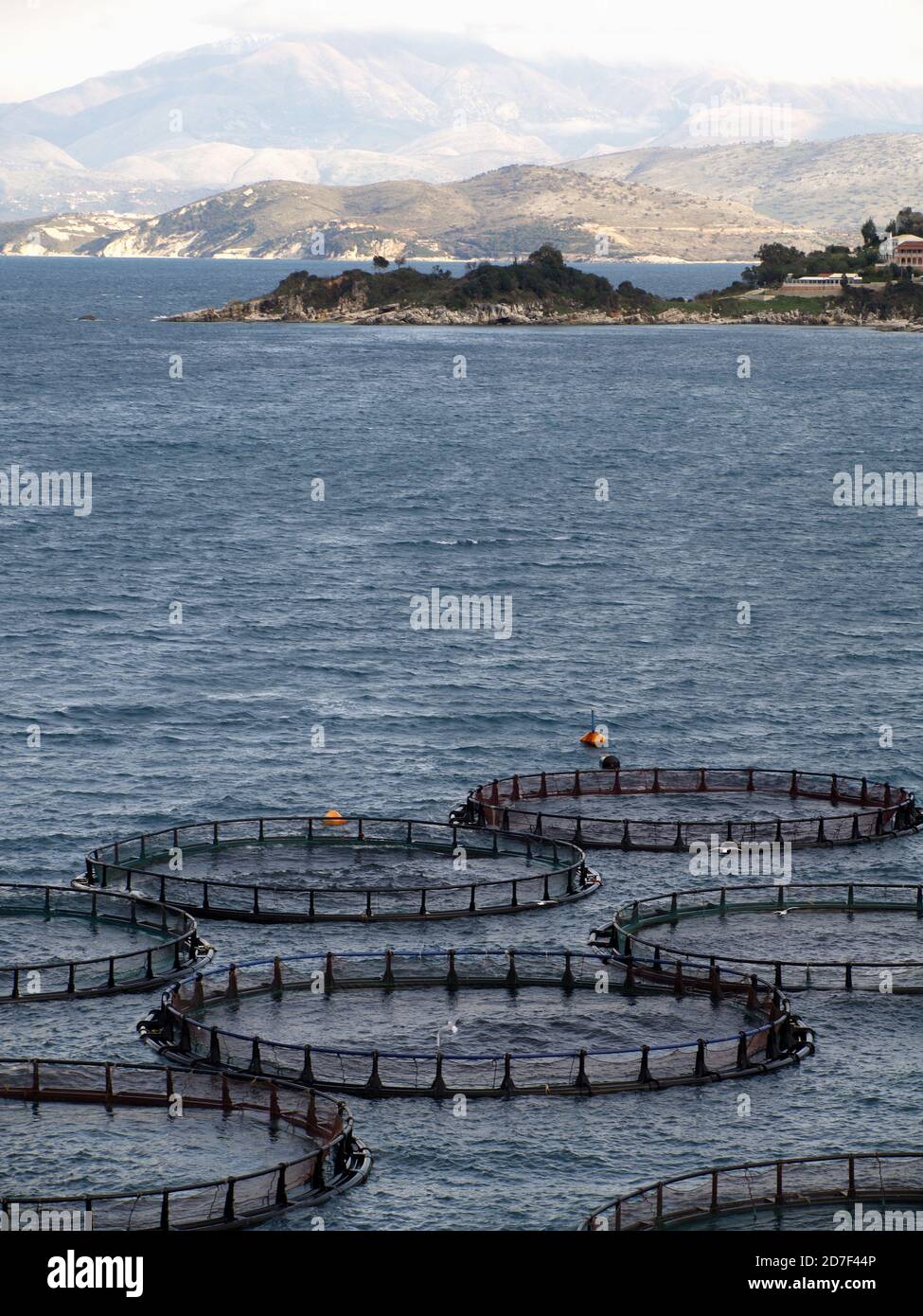 Fish Farm near Kassiopi, Corfu, Greece Stock Photo Alamy