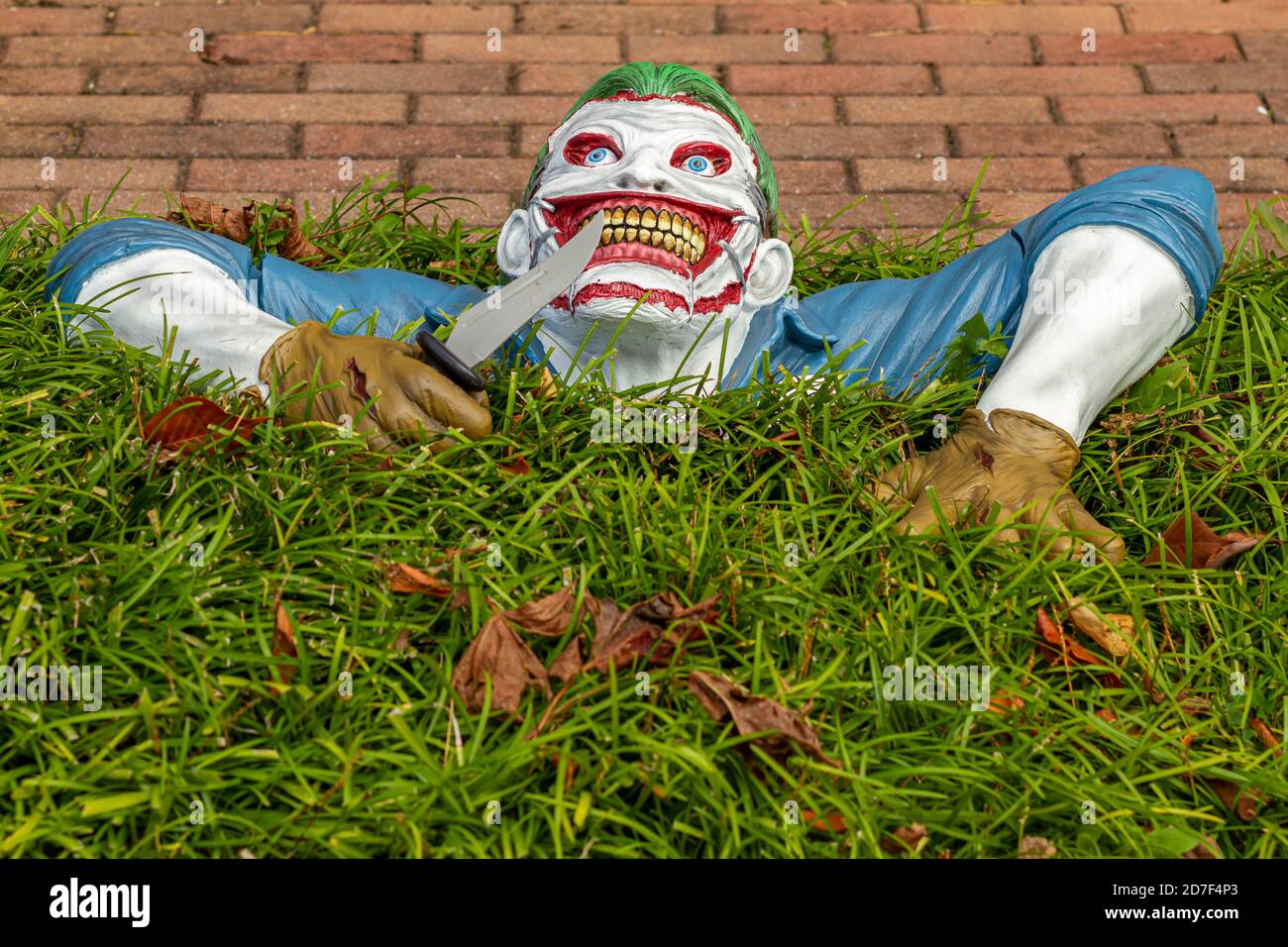 A creepy but original halloween decoration put in the front yard of a house. A plastic model in shape of an undead killer clown that is rising from hi Stock Photo
