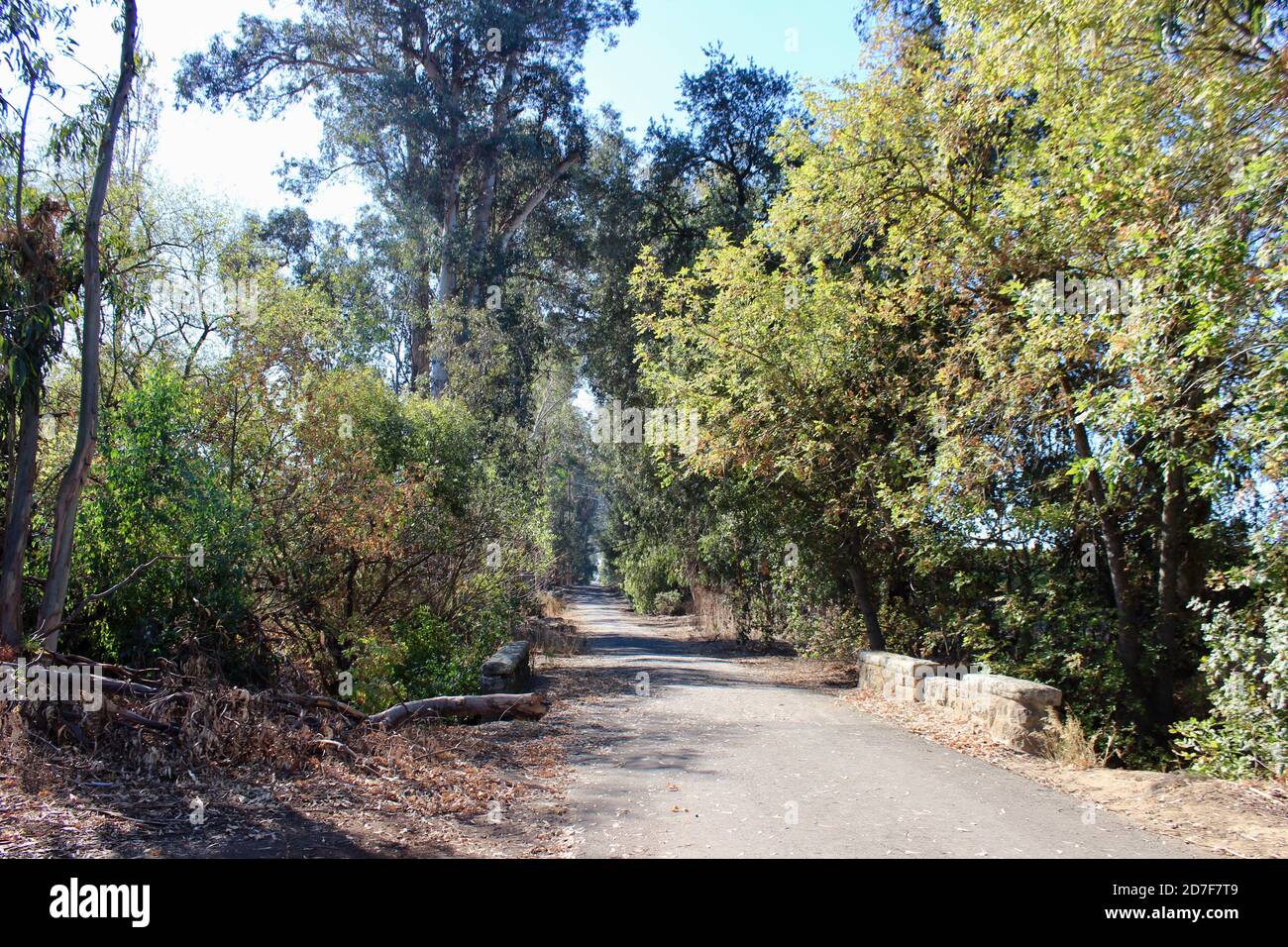 Stanly Road outside Napa, California Stock Photo