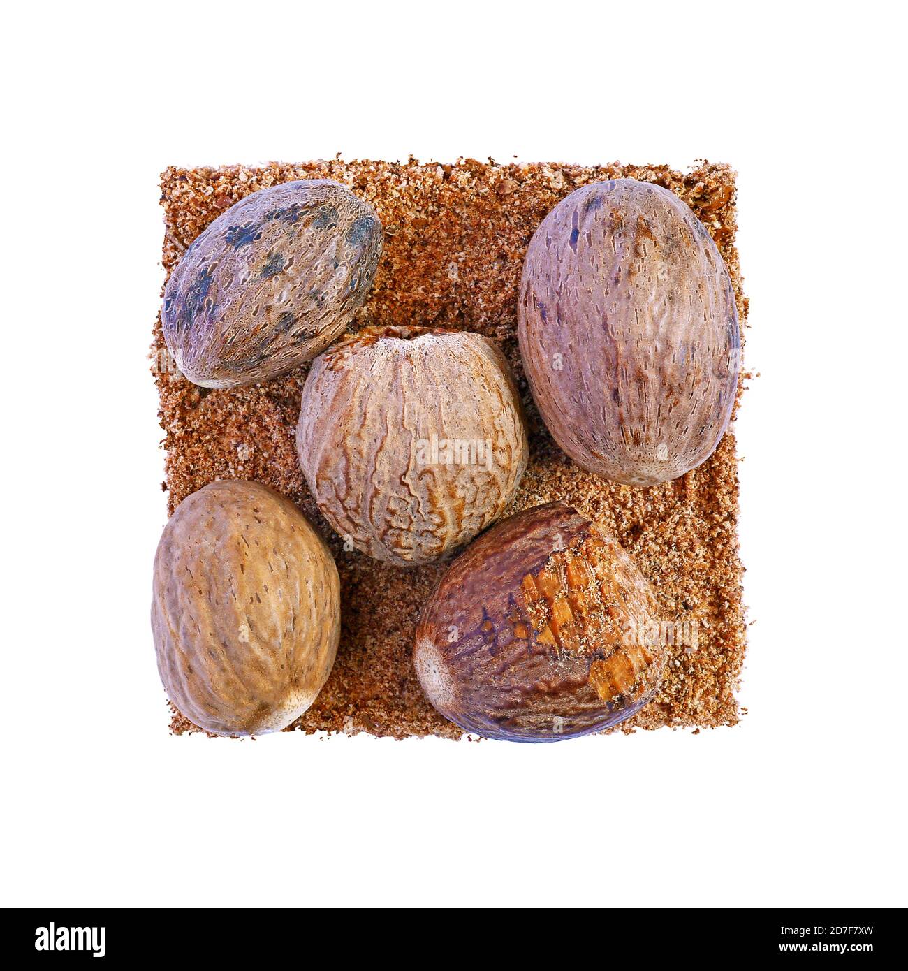 Nutmegs in square composition Stock Photo