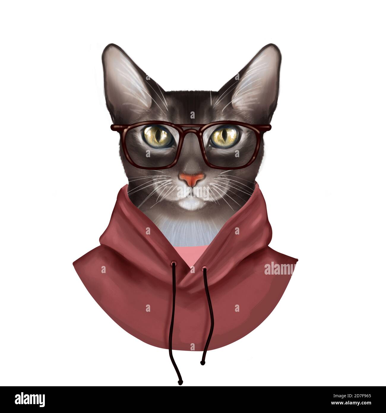 Dressed up cat. Cute digital illustration isolated Stock Photo
