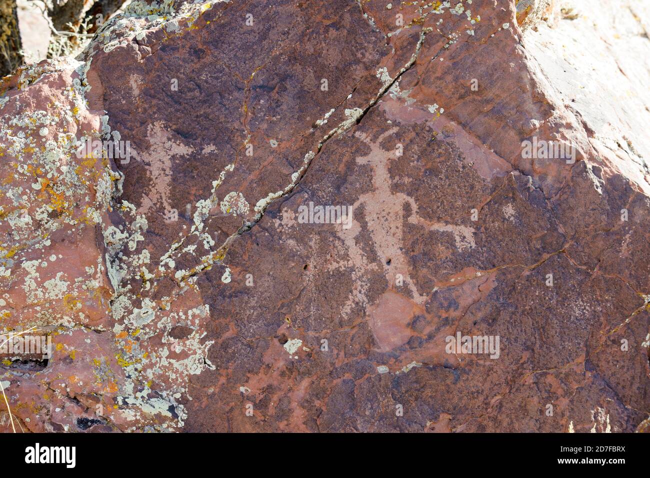 Petroglyph, Irish Canyon, Colorado, USA Stock Photo