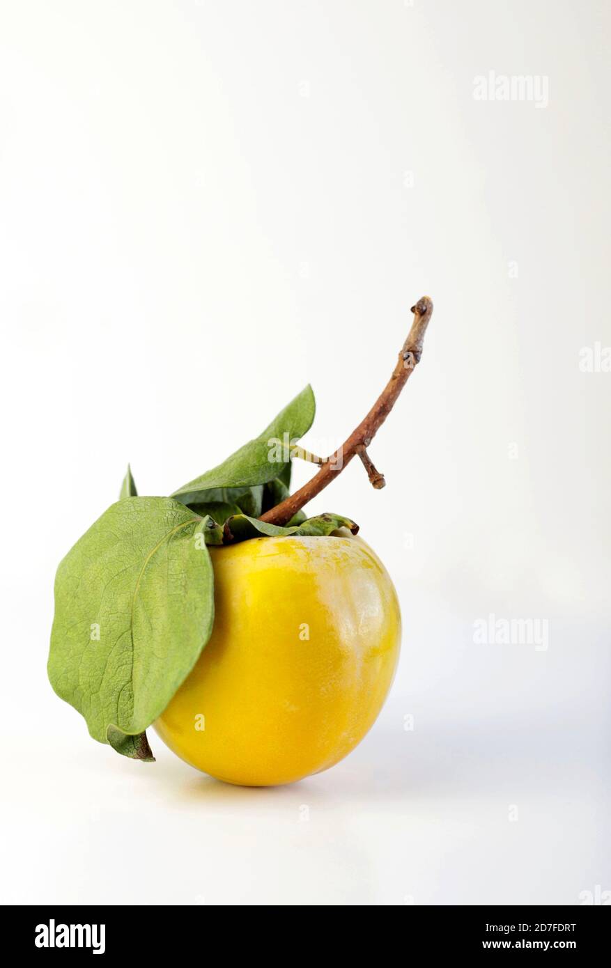 Fresh persimmons on white background Stock Photo
