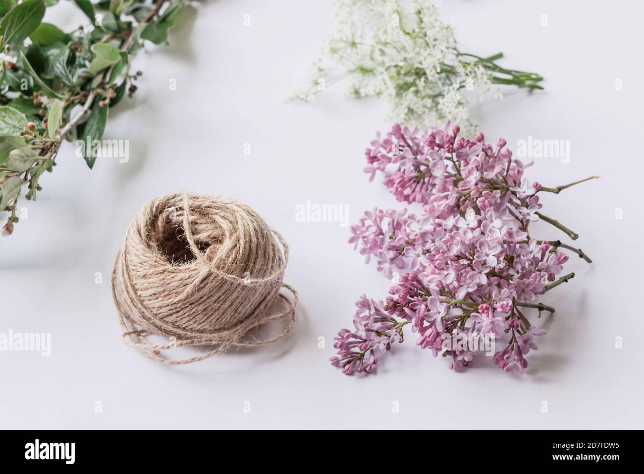 colorful wildflower arrangement on white background Stock Photo - Alamy