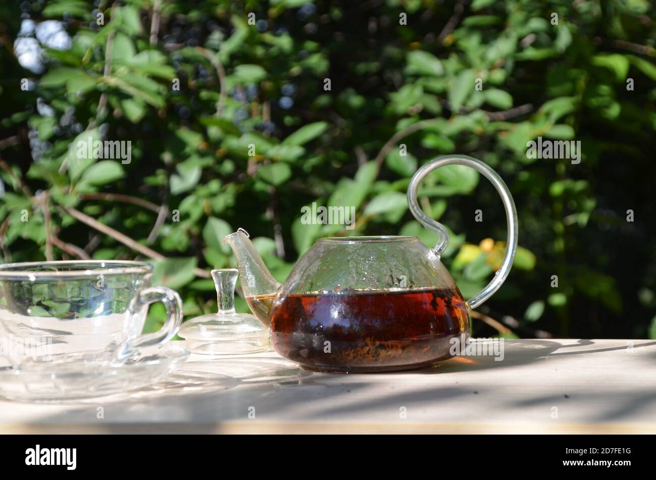 A girl pours tea from a transparent teapot into a transparent cup against a background of green foliage Good morning, outdoor cafe, energy boost. Tea Stock Photo