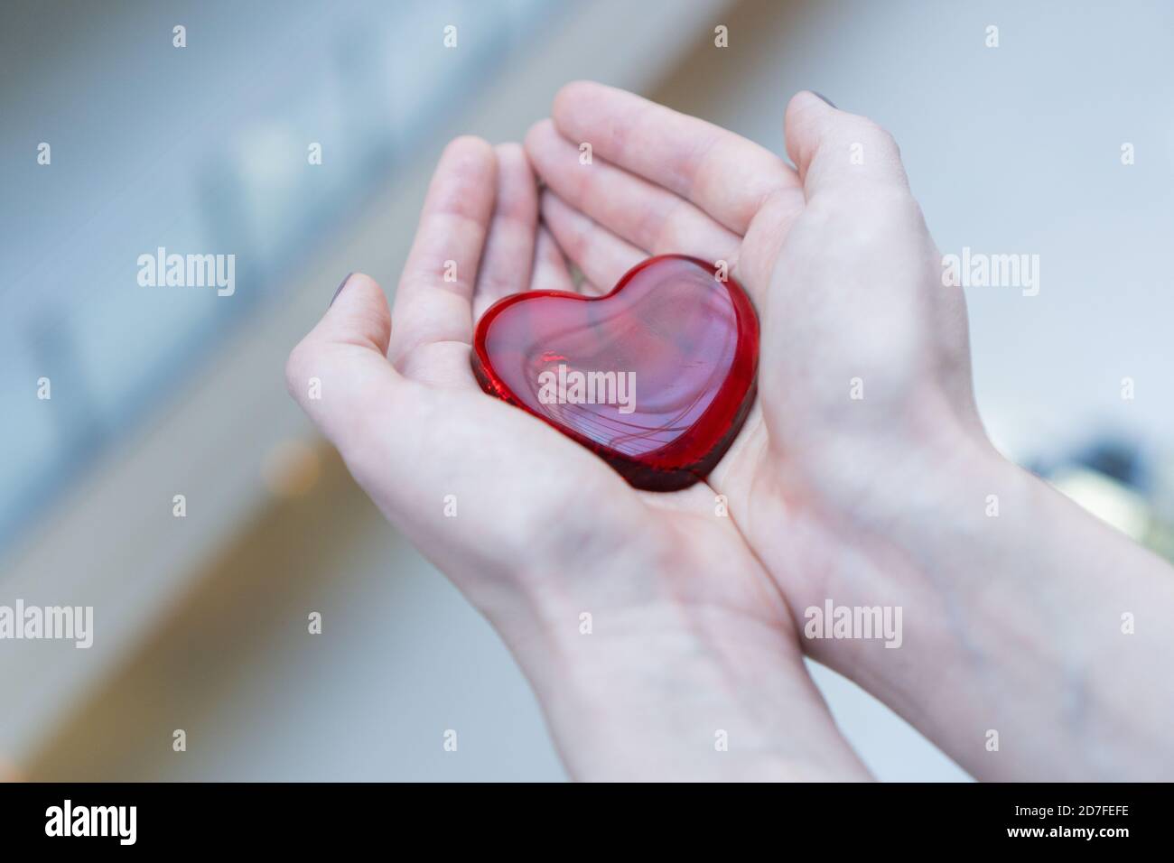 A Woman Holds A Glass Heart In Her Hands For Valentines Day Or Donate Help Give Love Warmth Take Care Concept Of Donorship New Life Saving Stock Photo Alamy