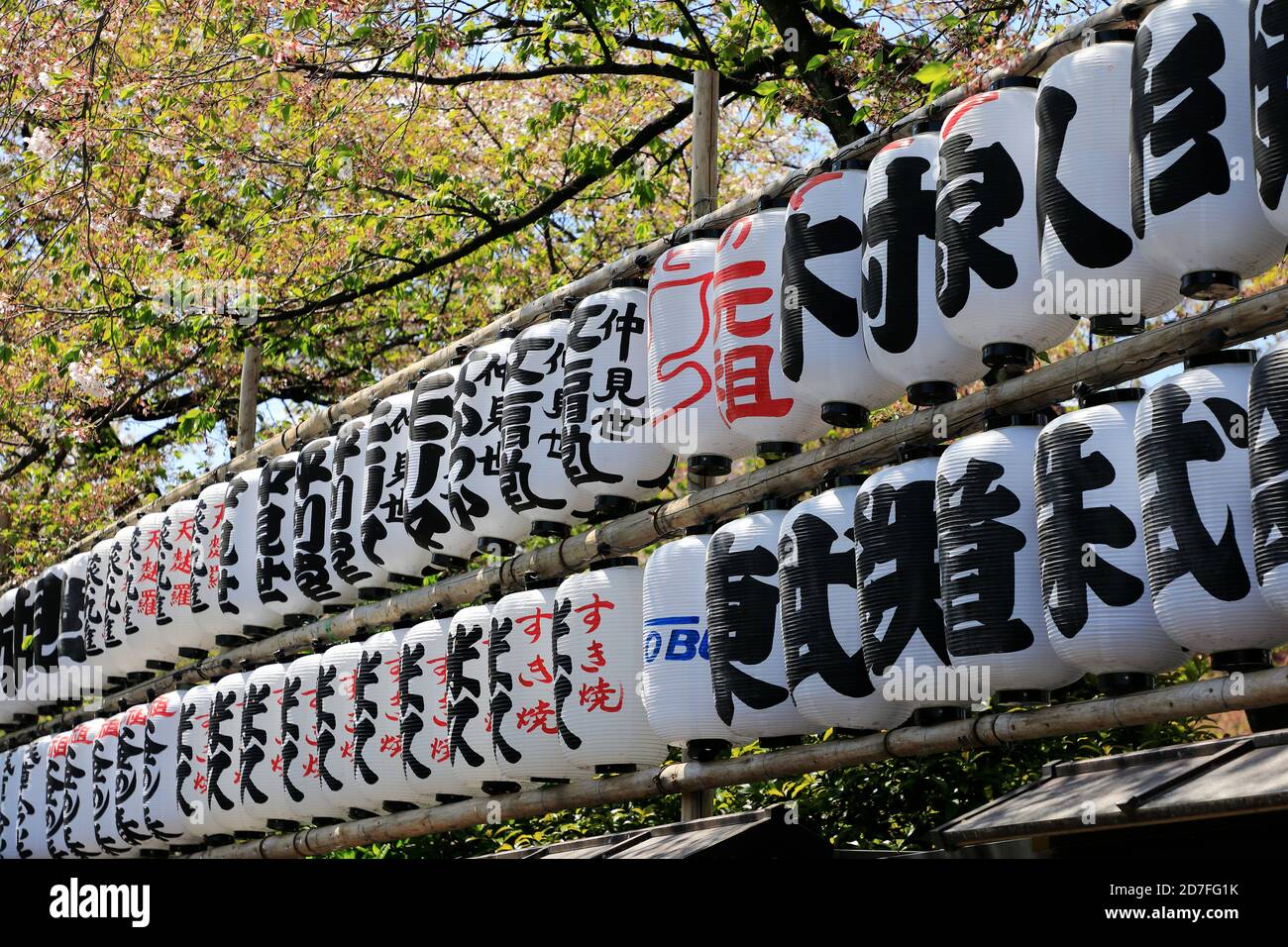 Japanese traditional style paper lanterns hanging in Senso-Ji Temple.Asakusa.Tokyo.Japan Stock Photo