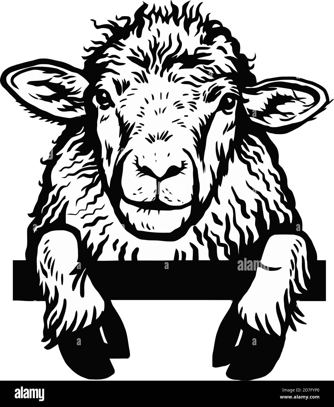 Peeking Sheep head. Hand drawn in a graphic style. Vintage vector engraving illustration for label, poster, logotype. Isolated on white Stock Vector