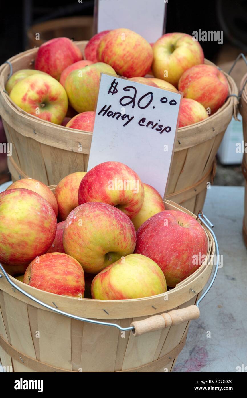 Honey Crisp Apples High Resolution Stock Photography And Images Alamy