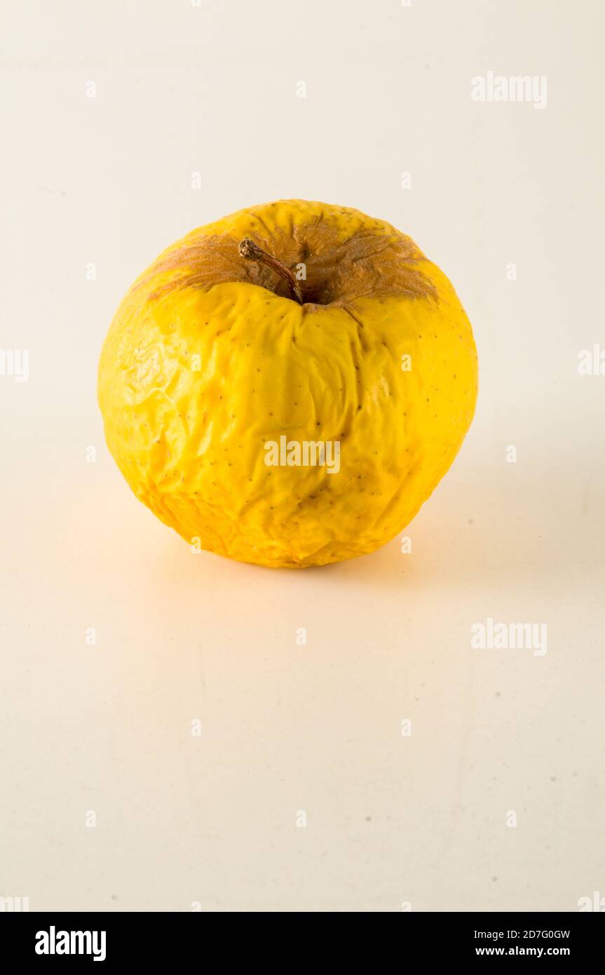 Old apple that is beginning to rot Stock Photo - Alamy