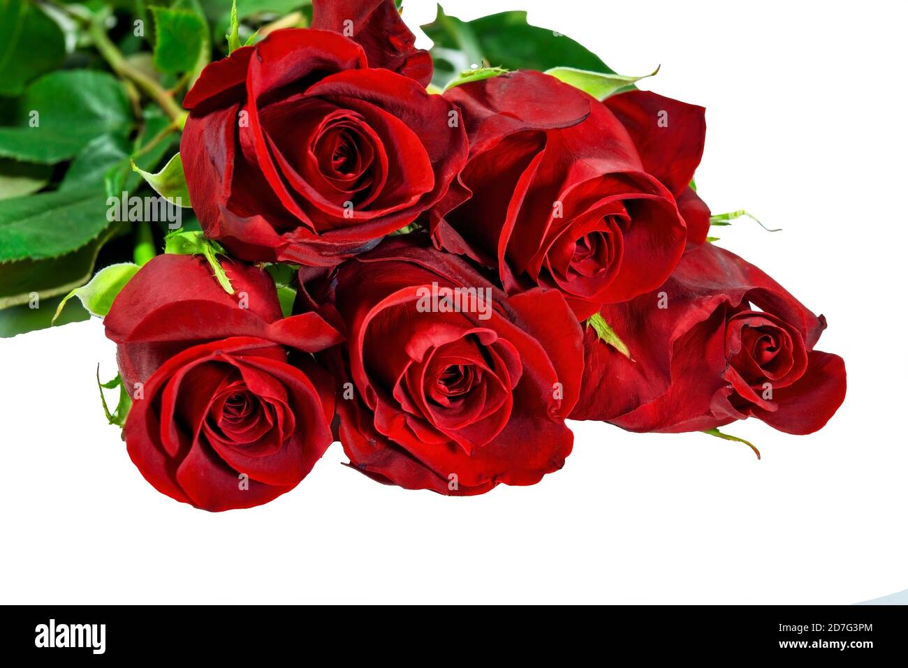 Bó hoa hồng đỏ rực chính là cách tuyệt vời nhất để tỏ tình hay dành tặng cho người mình yêu thương. Khám phá thêm về vẻ đẹp đầy cuốn hút của những bó hoa hồng này trong các hình ảnh.