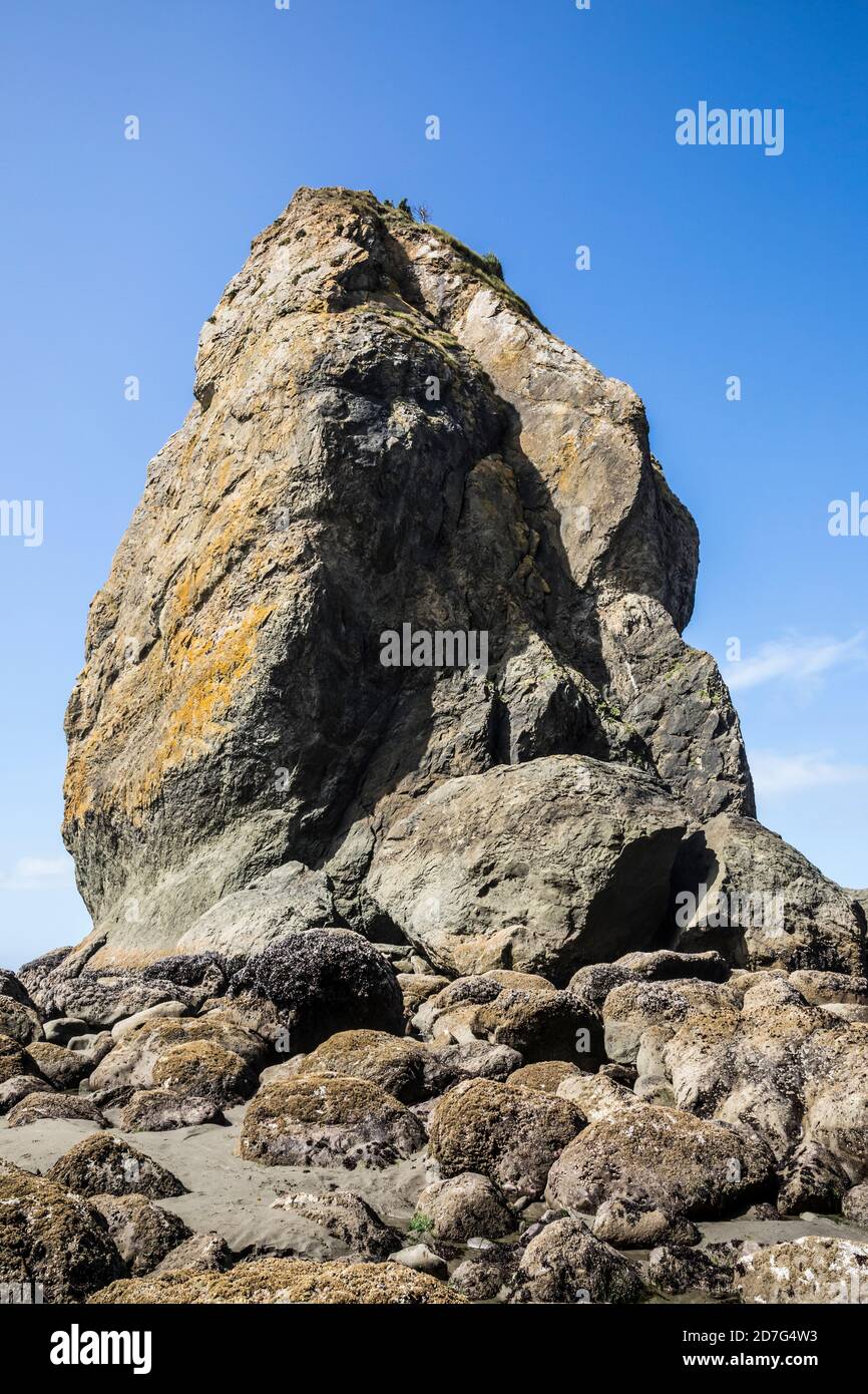 A sea stack rock pinnacle off of 2nd Beach, Olympic Coast National Marine Sanctuary / National Park, Washington, USA. Stock Photo