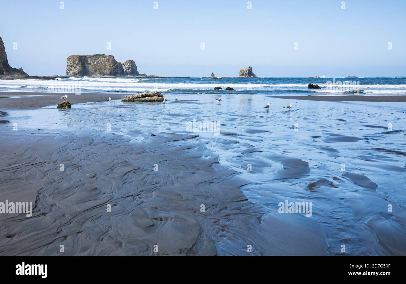Low tide on a clear day at 2nd Beach, Olympic National Park Coastal