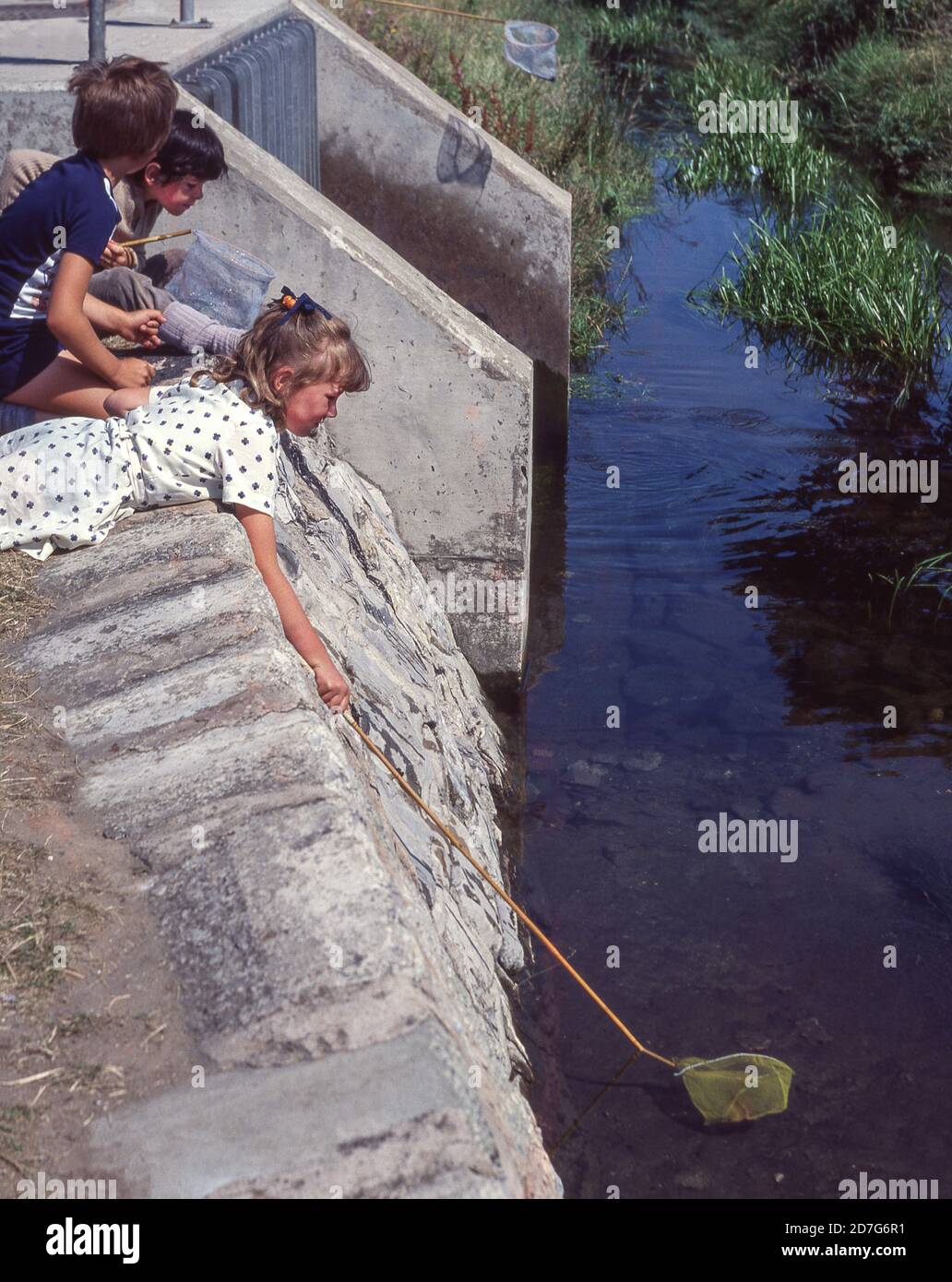 Children fishing with a net. Stock Photo