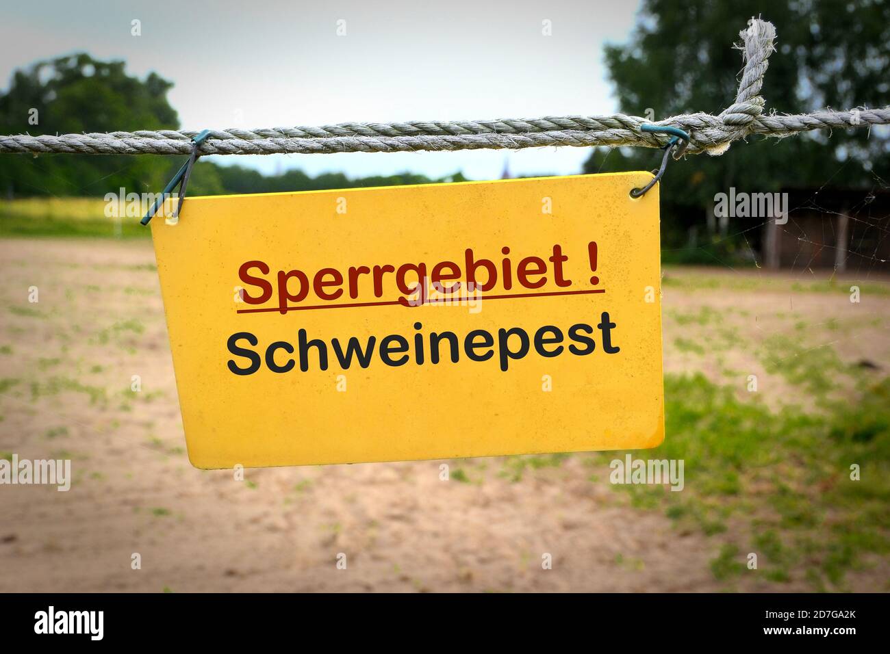 Sign with the words 'African swine fever restricted area' (Sperrgebiet Schweinepest) on a fence to a farm in Germany Stock Photo