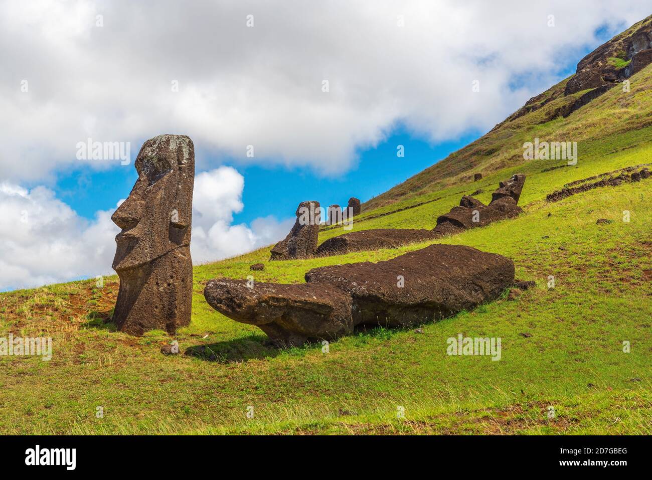 Toppled Moai statues of Rano Raraku, Easter Island (Rapa Nui), Chile. Stock Photo