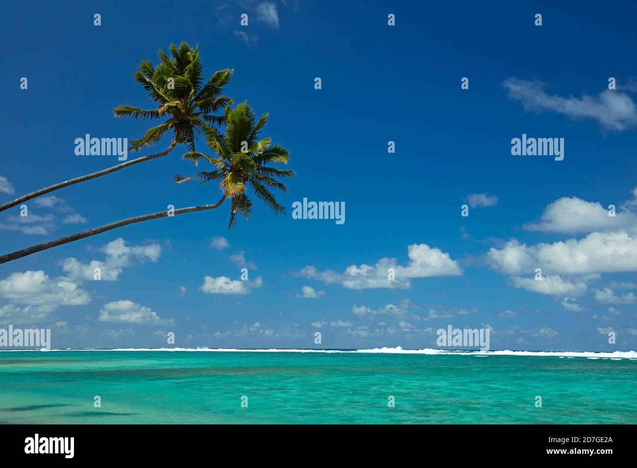 Two coconut palm trees and Pacific Ocean, Rarotonga, Cook Islands, South Pacific Stock Photo