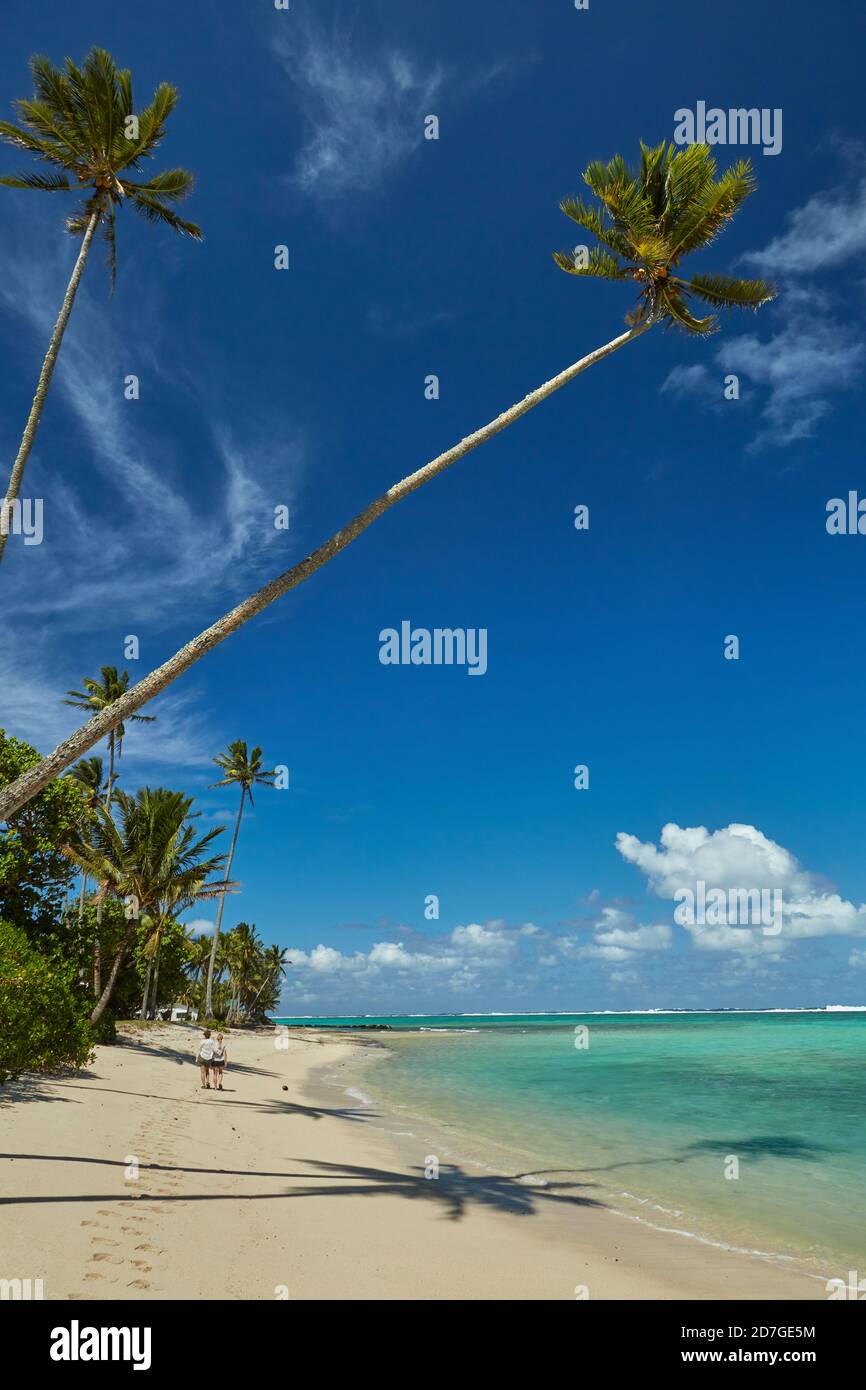 Coconut palm trees and Pacific Ocean, Rarotonga, Cook Islands, South Pacific Stock Photo