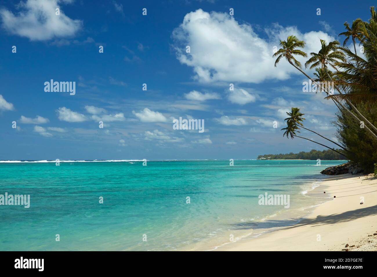 Coconut palm trees and Pacific Ocean, Rarotonga, Cook Islands, South Pacific Stock Photo