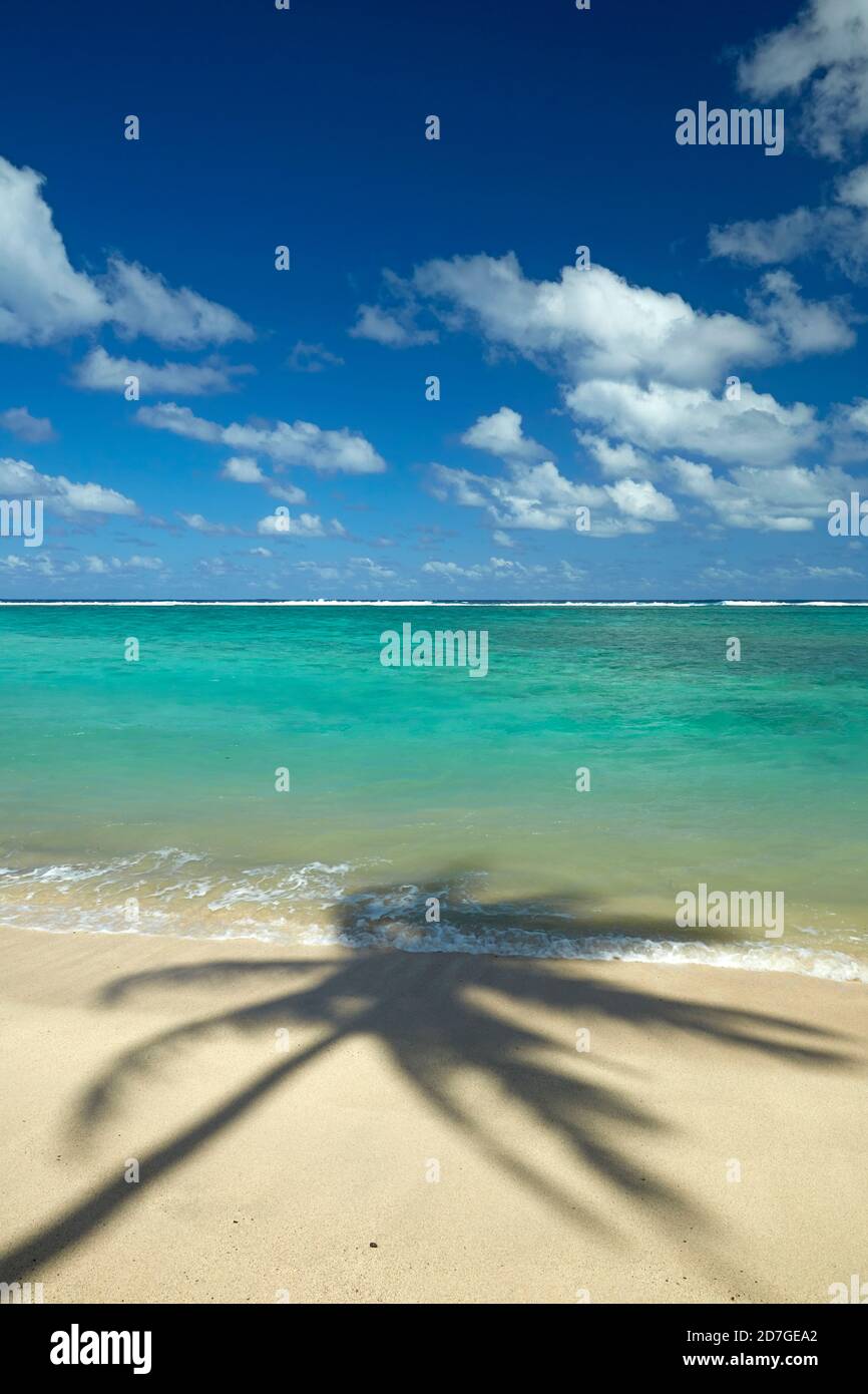 Coconut palm shadow on beach and Pacific Ocean, Rarotonga, Cook Islands, South Pacific Stock Photo