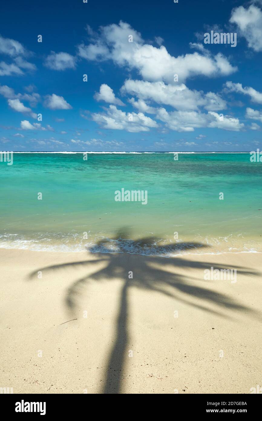 Coconut palm shadow on beach and Pacific Ocean, Rarotonga, Cook Islands, South Pacific Stock Photo