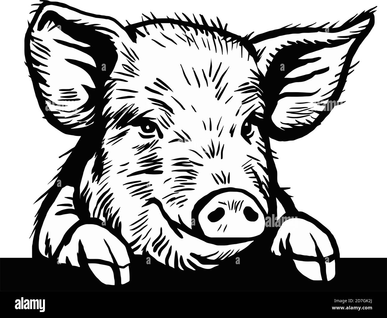 Peeking Pig head. Hand drawn sketch steak meat products with sausages and salami, pig farm fresh food, black and white vintage illustration Stock Vector