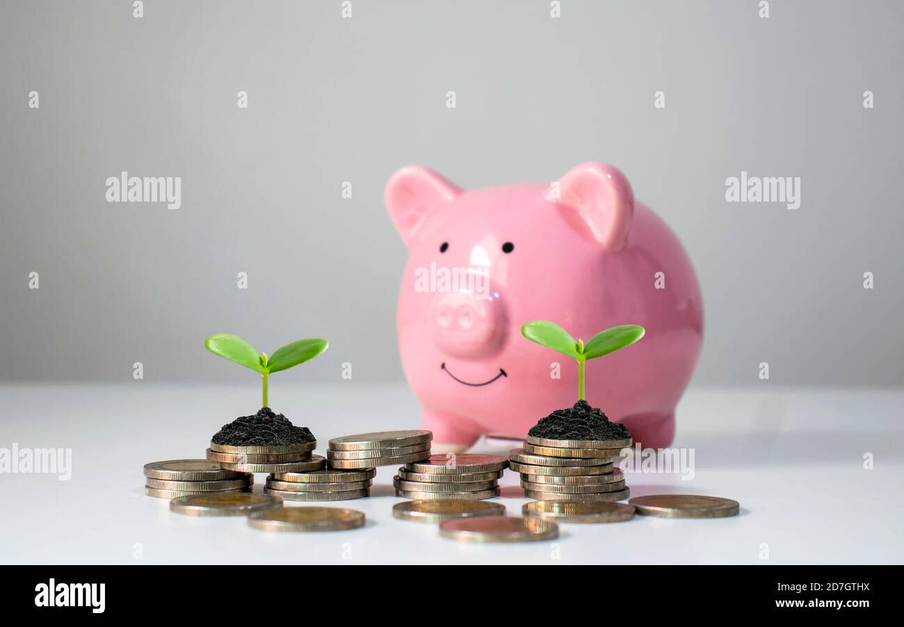 Coin graph shows financial growth and growing trees on coin stacks, including piggy bank, money saving ideas and financial growth. Stock Photo