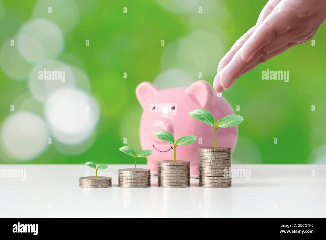 Coin graph shows financial growth and tree planting on coin piles, as well as piggy banks, money saving ideas and financial growth. Stock Photo
