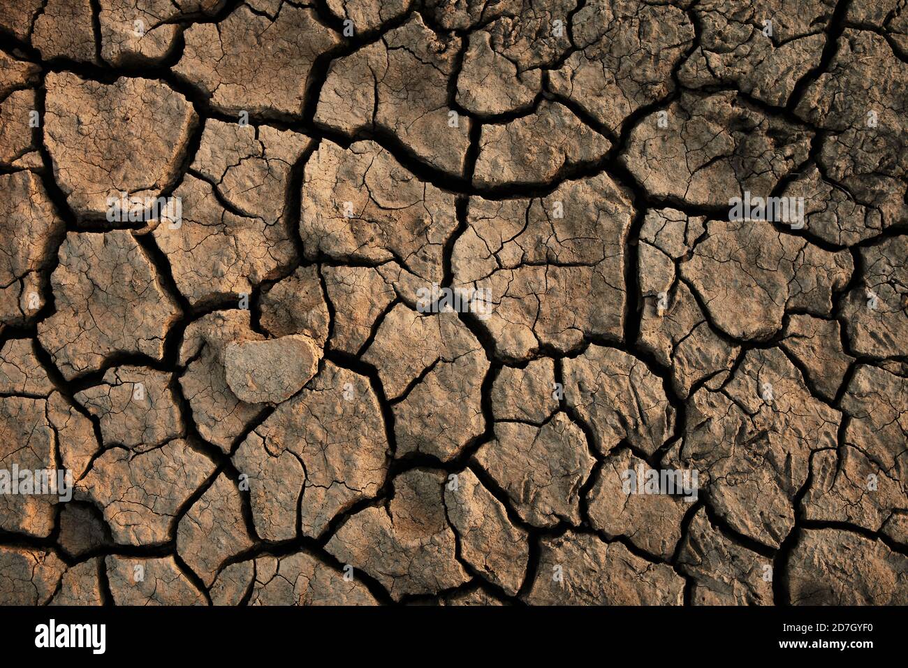 Cracked earth clay soil hi-res stock photography and images - Alamy